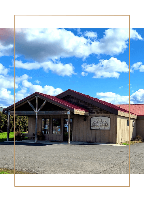 mill creek veterinary hospital