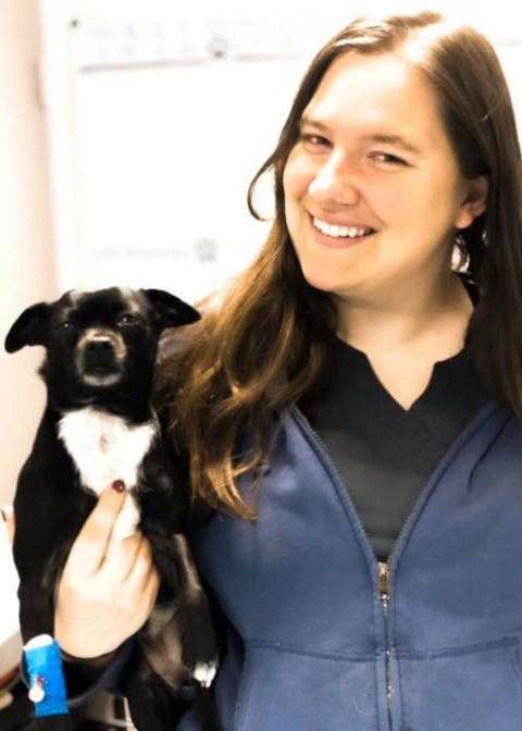 Veterinarians In Walla Walla, WA 99362 | Mill Creek Veterinary Hospital