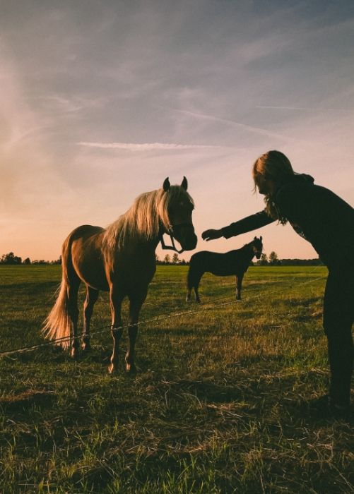 A person near horse